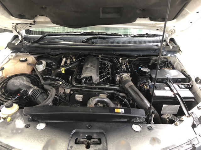 GRA Moissanite White Brilliant 925 Sterling Silver Gold Vermeil Ring-8US