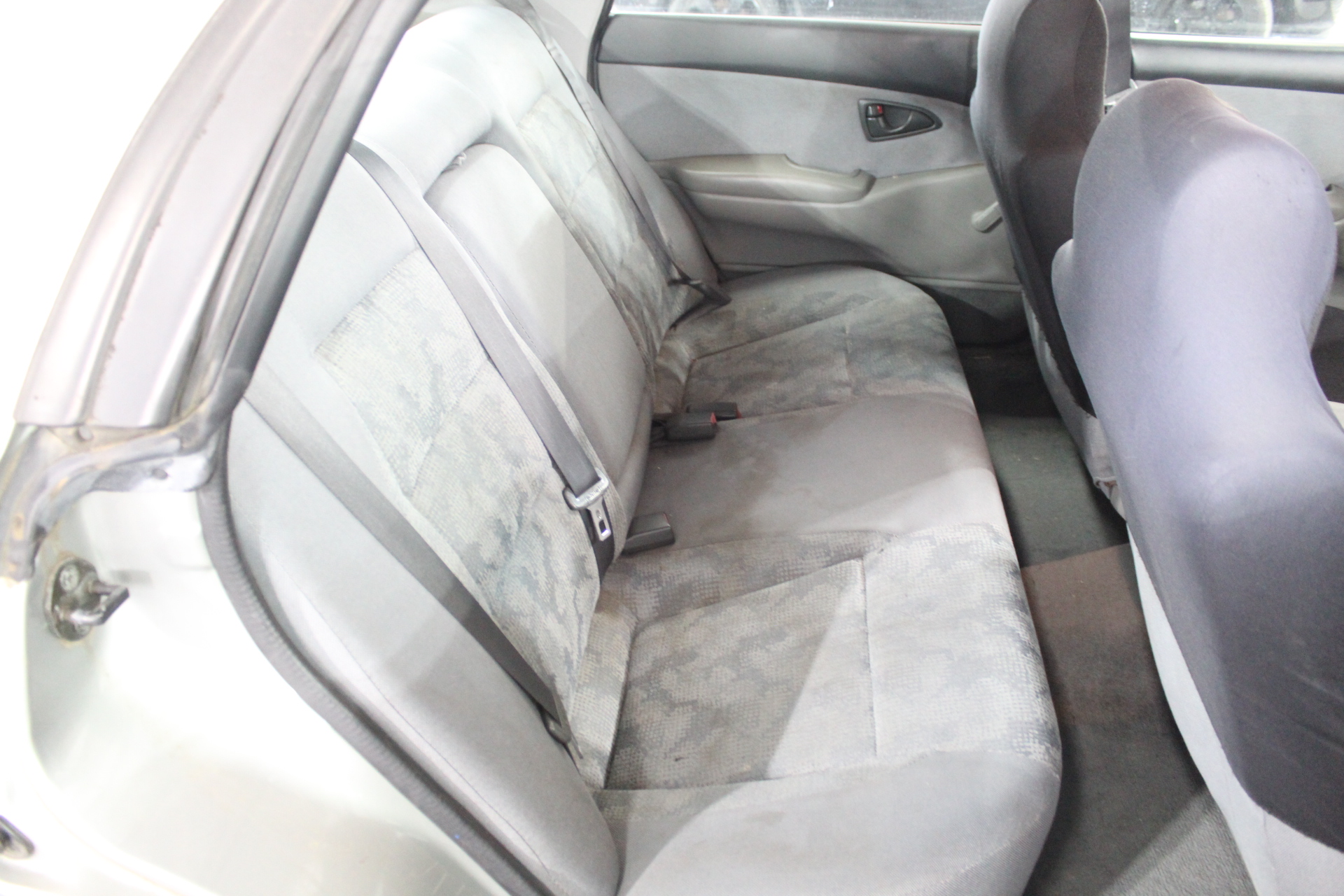 Golden Avenue Wattle Range Cabernet Sauvignon 2021 (12x 750mL) Coonawarra