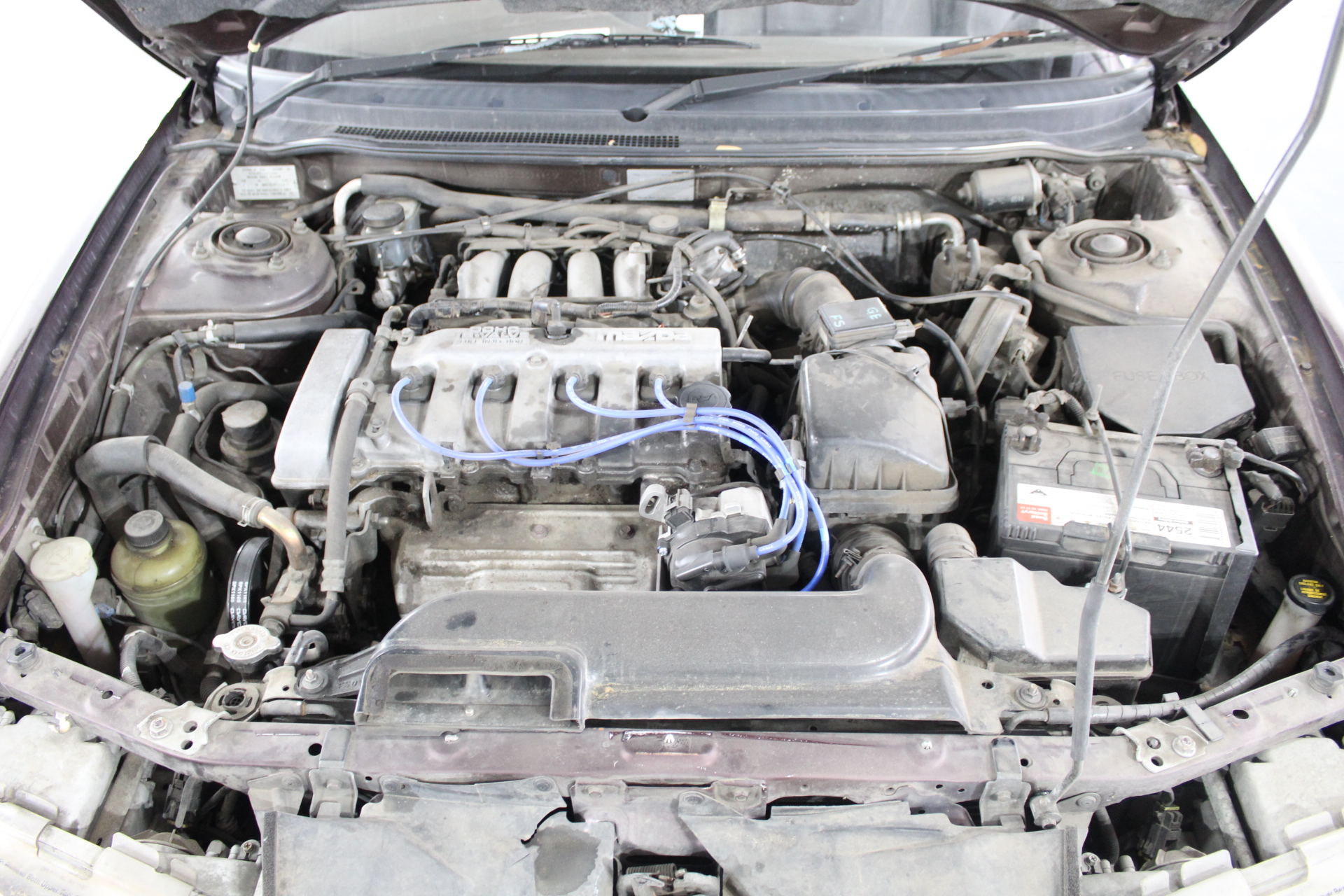 Stalking Horse Rose 2025 (12x 750mL) Langhorne Creek