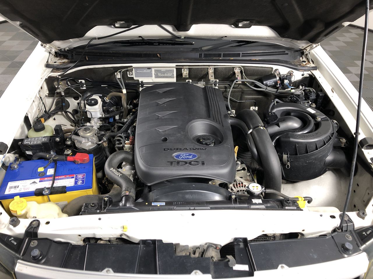 Cast Iron 200Lb Anvil (Unused)