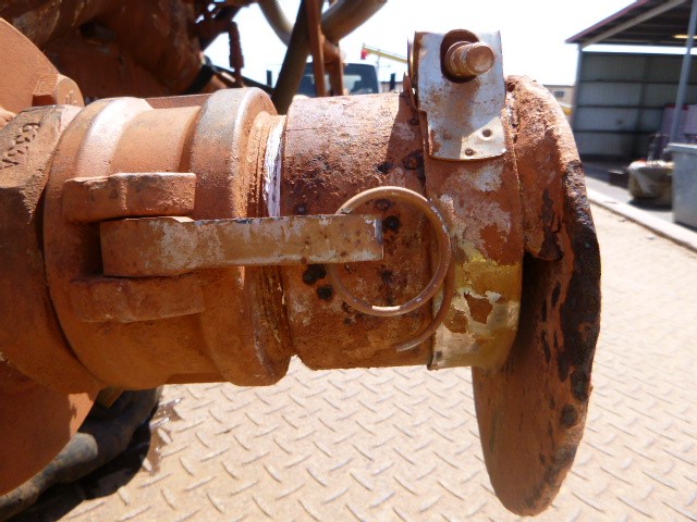 2 x Women's Outer Wear, Size XL, Incl: TOMMY HILFIGER & DANSKIN, Ivory & Of