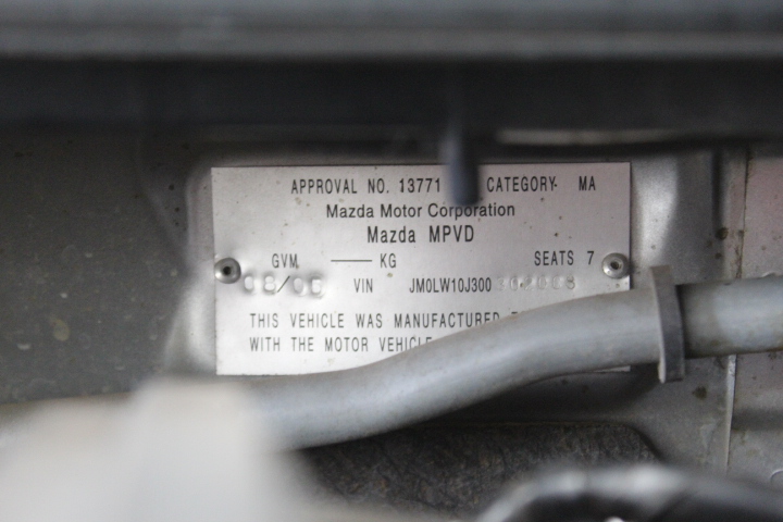 Baroque Pearls & Large Lobster Clasp Gold Plated Bracelet