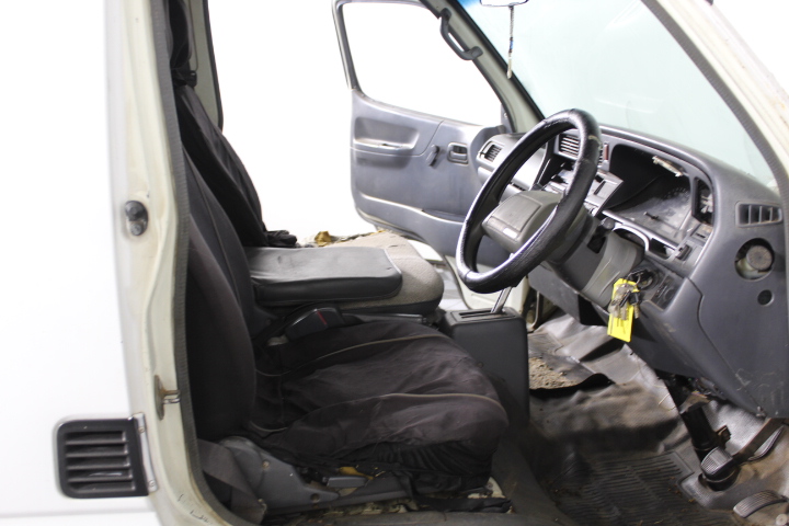 5-6mm White & Baroque Pearl Pendant Charm Bracelet