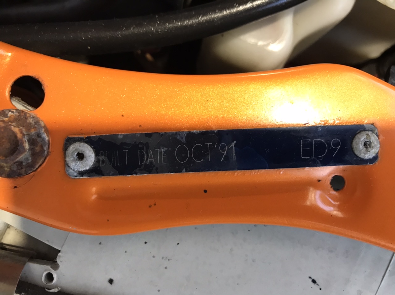 NEW!! LIMITED 2024 BLUEY DOLLARBUCK & BINGO $1 DOLLAR UNC Coin 2 CARD SET