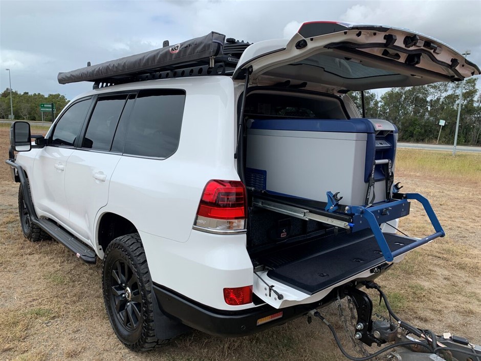 NEW!! LIMITED 2024 BLUEY DOLLARBUCK & BINGO $1 DOLLAR UNC Coin 2 CARD SET