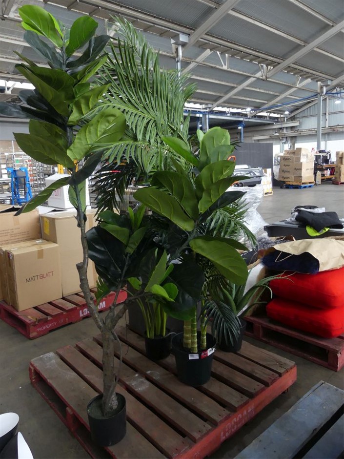 BULK, Collection, Aust Pre decimal, 500 x 1 Penny Roos, mixed GVI and QEII