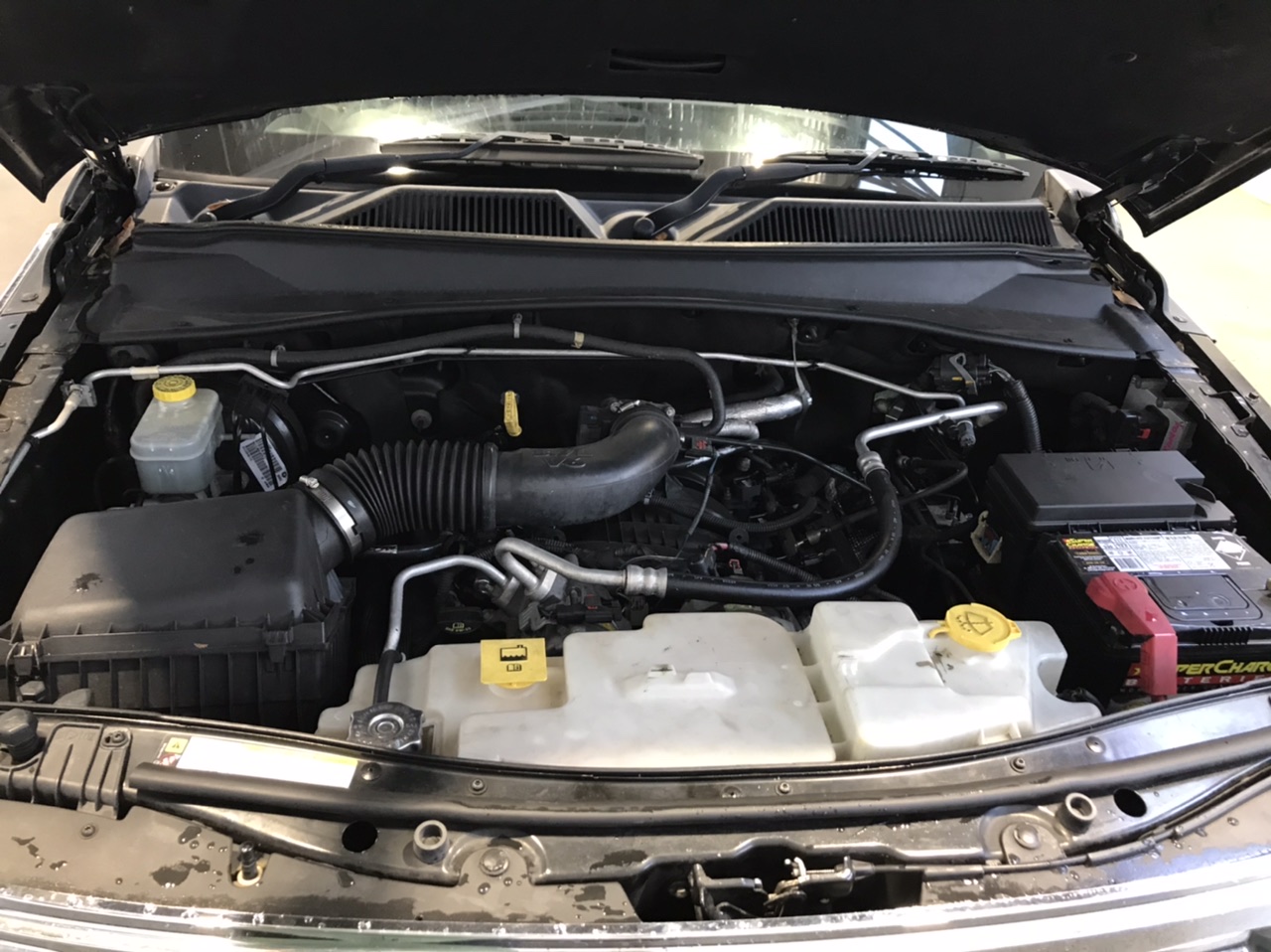 Aqua Terra Jasper Gemstones & Swarovski® Crystal Earrings