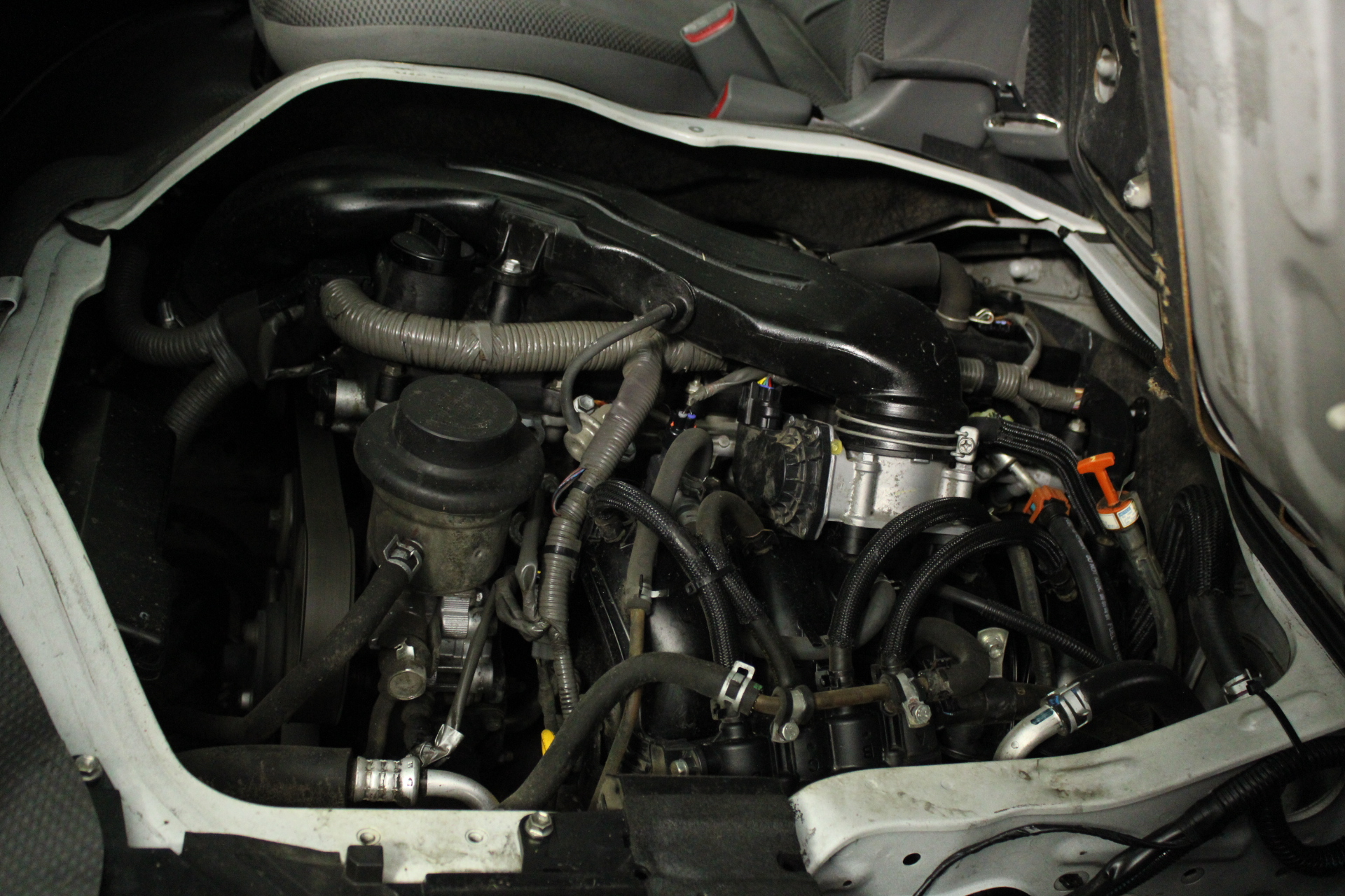 Howlite Gemstones & Swarovski® Crystal Earrings