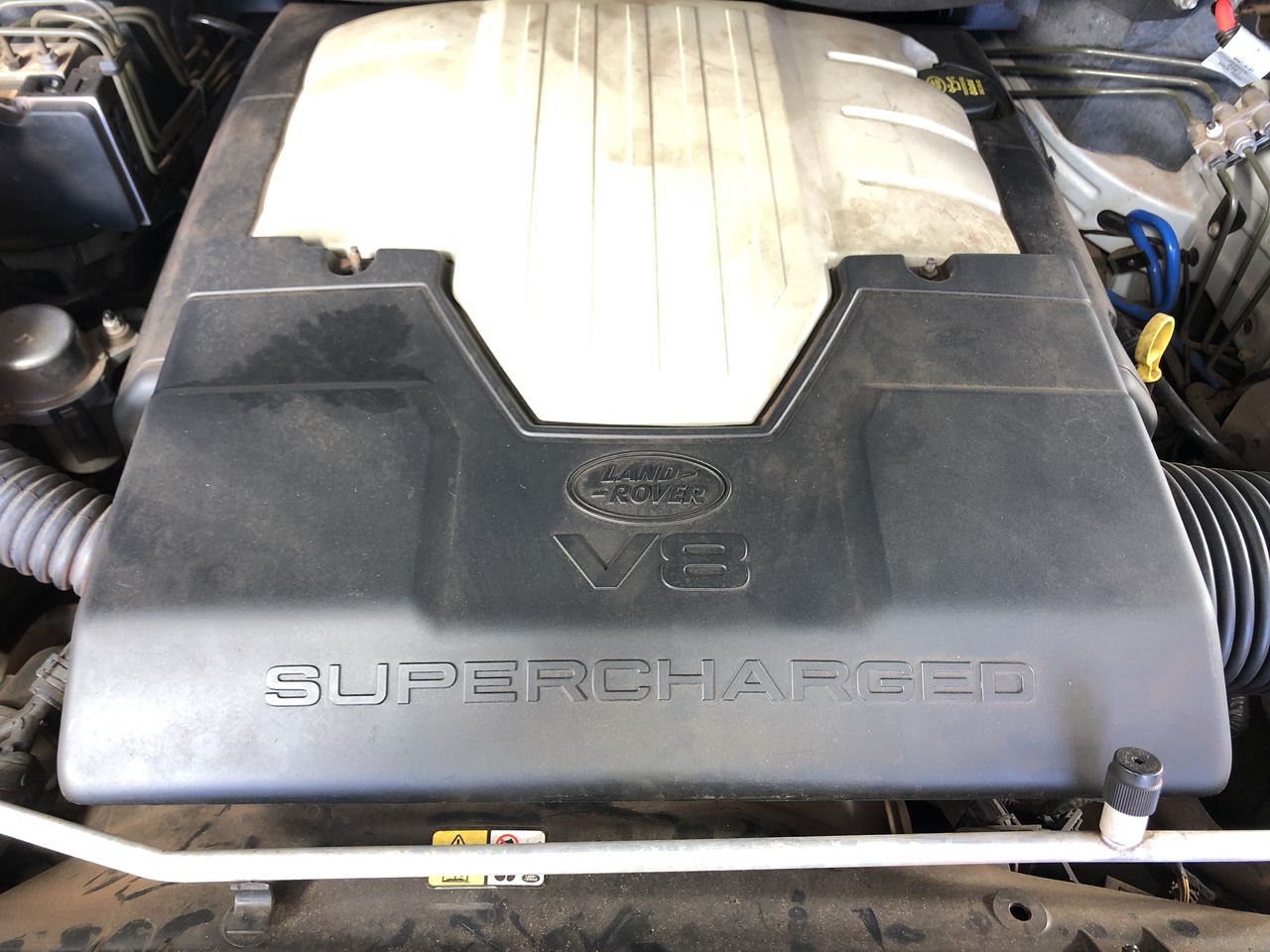 7-8mm White Pearls & Gold Plated Rhinestone Necklace.