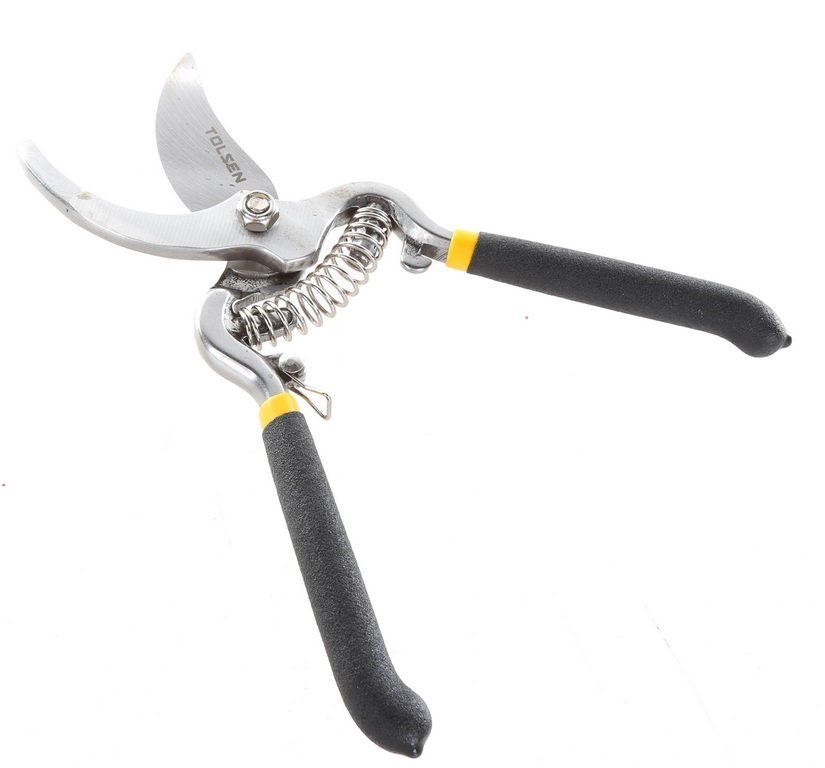 Thomson Estate Stony Row Riesling 2025 (12x 750mL) SA