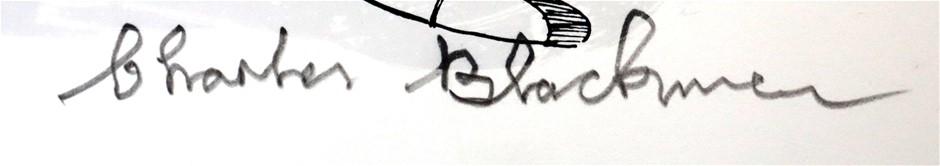 2018 Ford Motorsport Collection - 50 Cent Coin - BA Falcon 2006