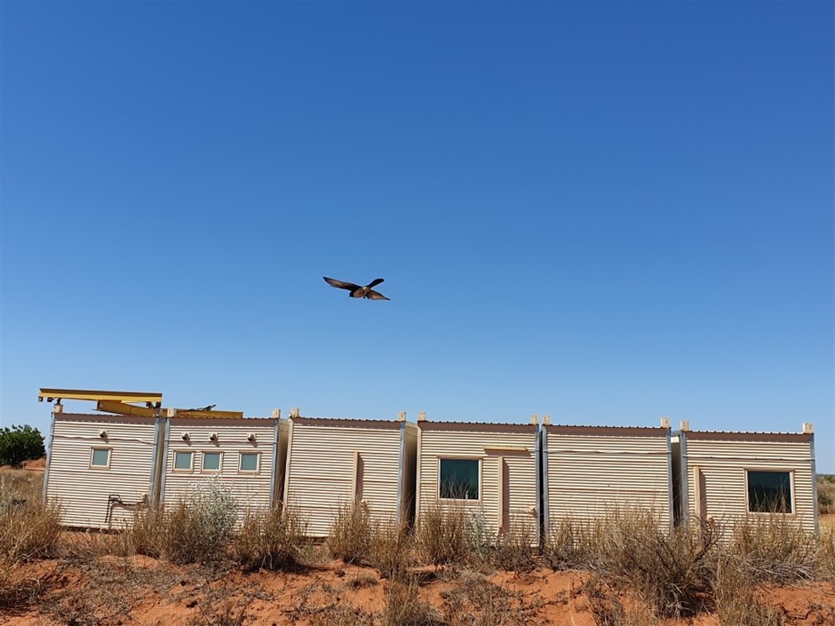 4 x 2XU Women's Sailing Short Sleeve Fibretech Tee, Size 2XL, White/ Rose,