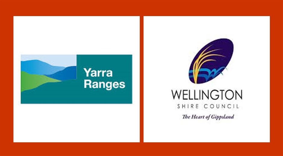 Calvet Beaujolais 2022 (6x 750mL) France