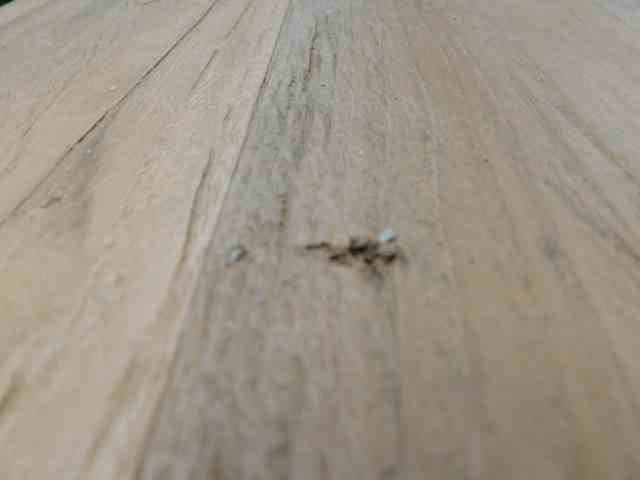 Basedow`s B3 Pauline Cabernet Shiraz 2010 (6x 750mL) Barossa