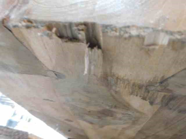 Bec Hardy Pinot Noir 2024 (6x 750mL) Adelaide