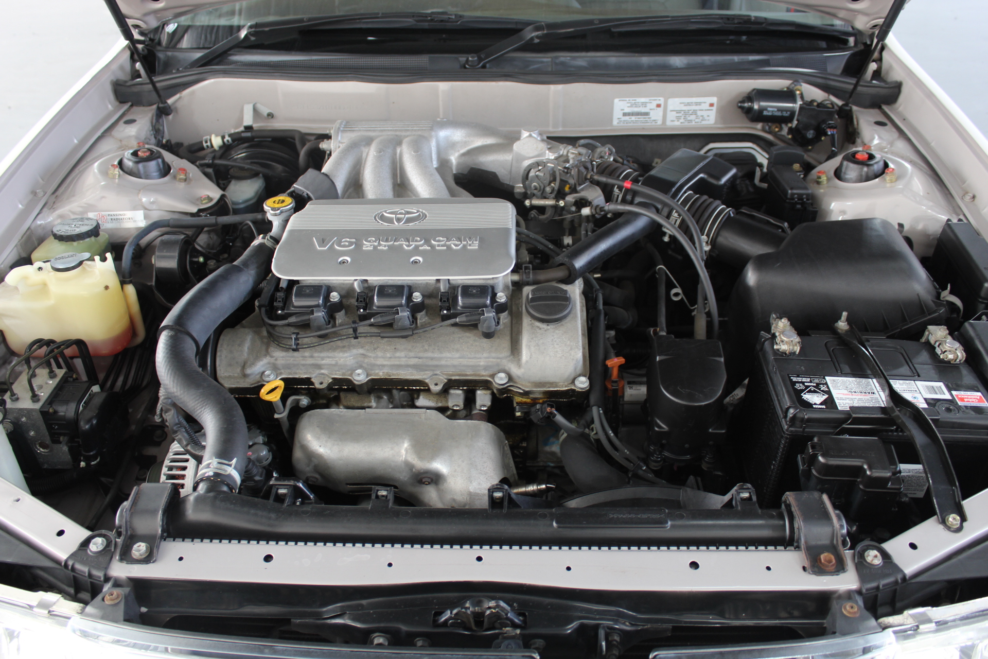 Artan Reserve Shiraz 2021 Export Label (12x 750mL) SA