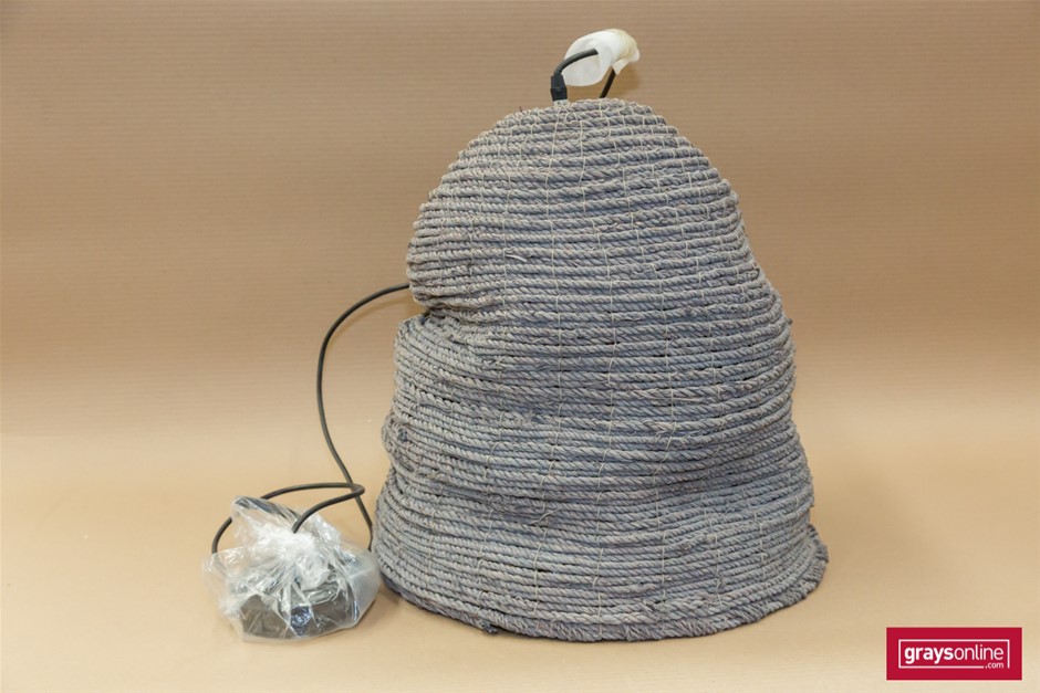 TERRA BY BATTAT Ceratosaurus Electronic Dinosaur with Light & Sound, For Ki