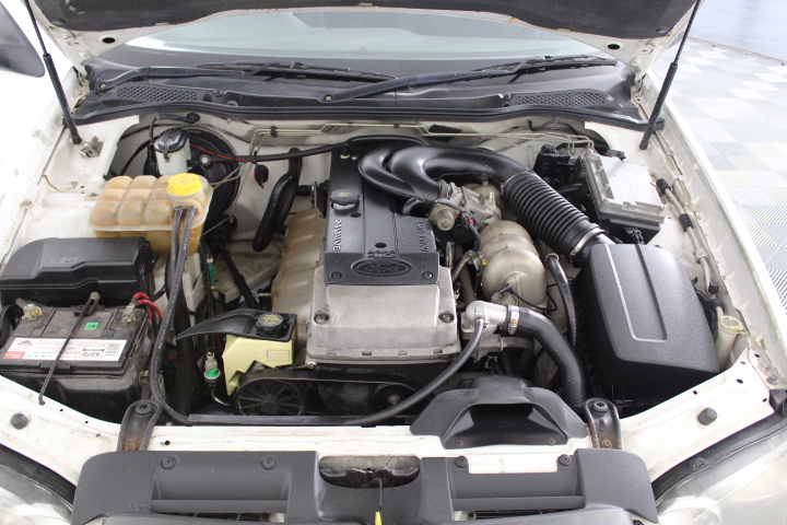 Stalking Horse Shiraz 2021 (12x 750mL) Langhorne Creek, SA