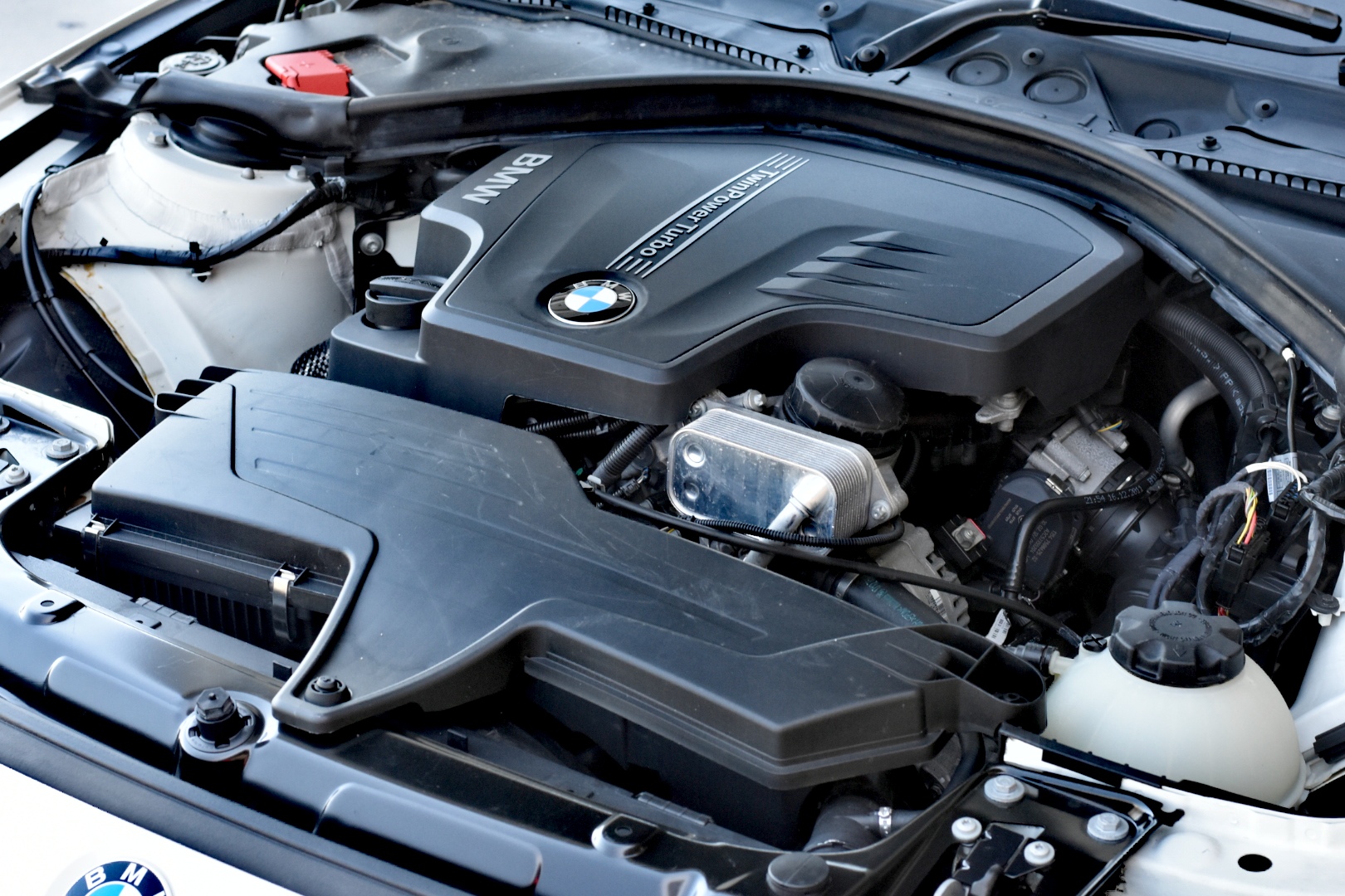 Elephant in the Room Pinot Gris 2025 (6x 750mL).