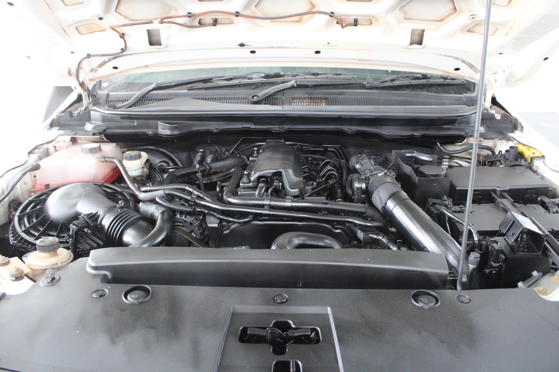 Firing Eagle Shiraz 2021 (12x 750mL) Limestone Coast