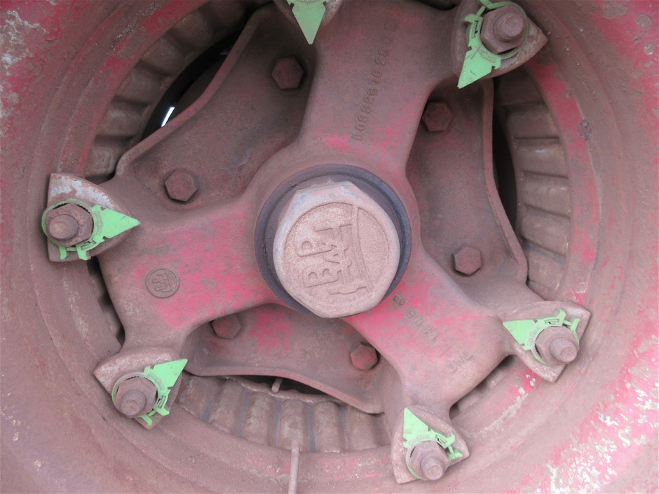 <p>RIGID ELECTRIC EEL</p>