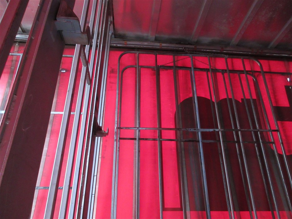 Swim short Made With Water Reactive Fabric Showing Dolphin Print When Wet