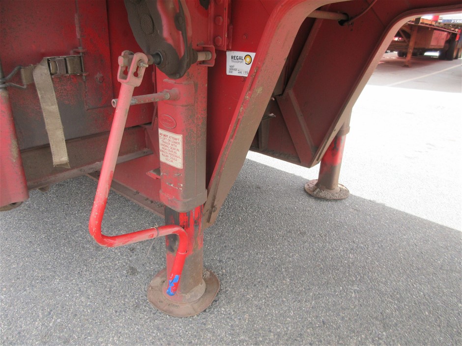 Spliced Short Made of Water Reactive Fabric Showing Dolphin Print When Wet