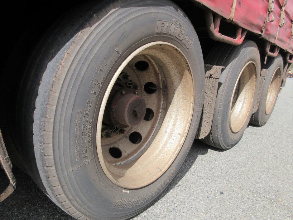 Spliced shorts Made of Water Reactive Fabric Showing Dolphin Print When Wet