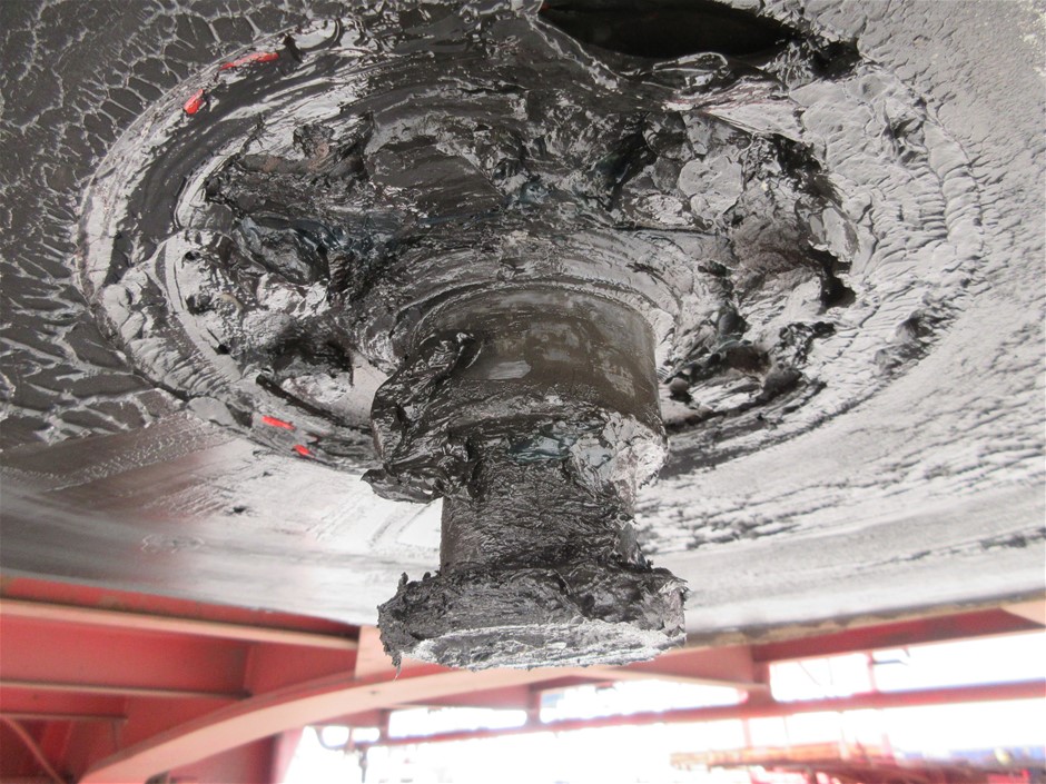 Swim short Made With Water Reactive Fabric Showing Dolphin Print When Wet