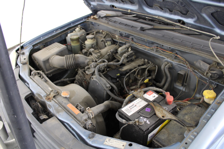 ADORA - Realistic 18-inch Doll - "CASSIDY & FRUIT". Soft, Huggable Body. Mo