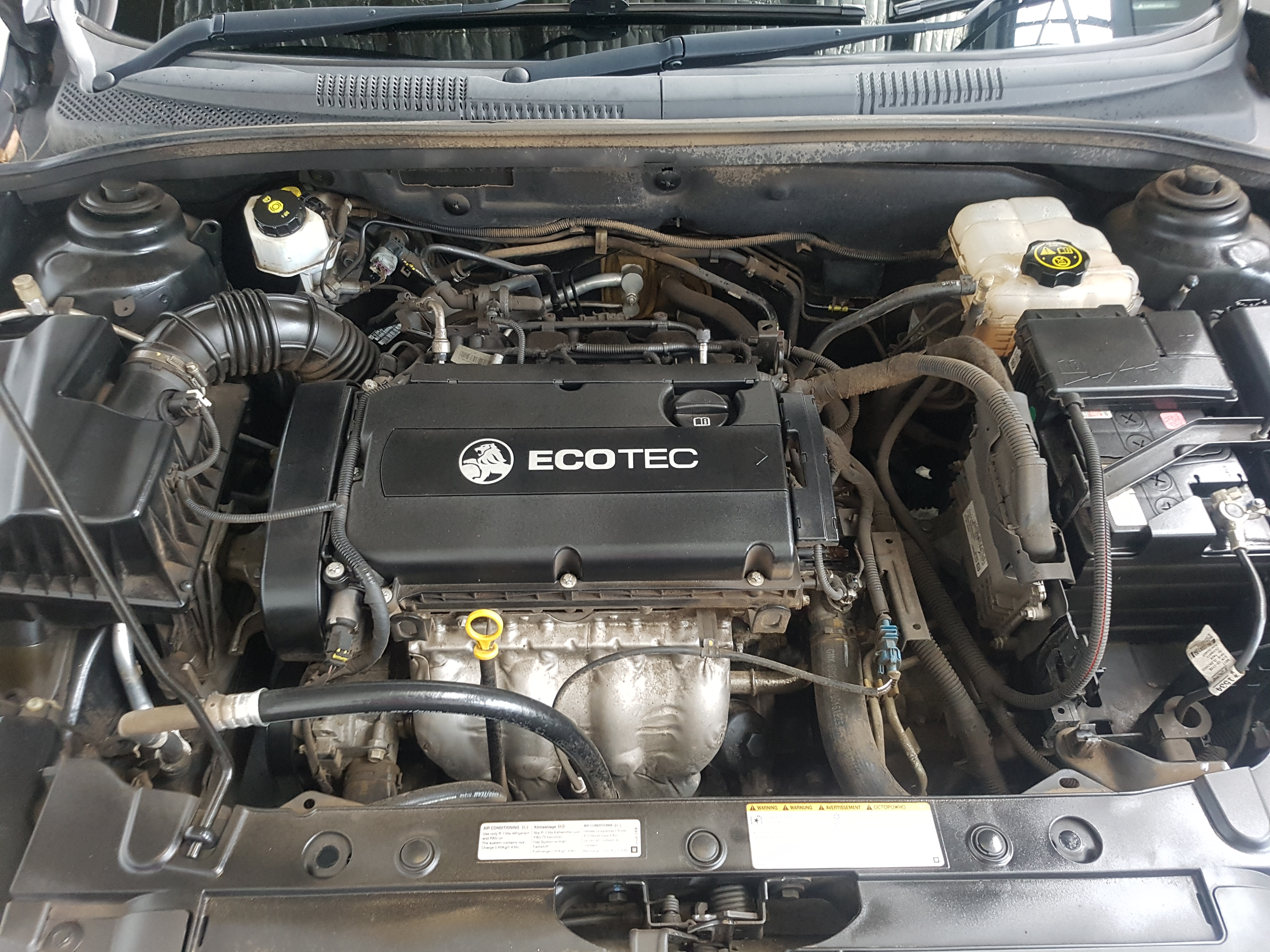 Winexquisite Shiraz 2019 (6x 750mL) SA