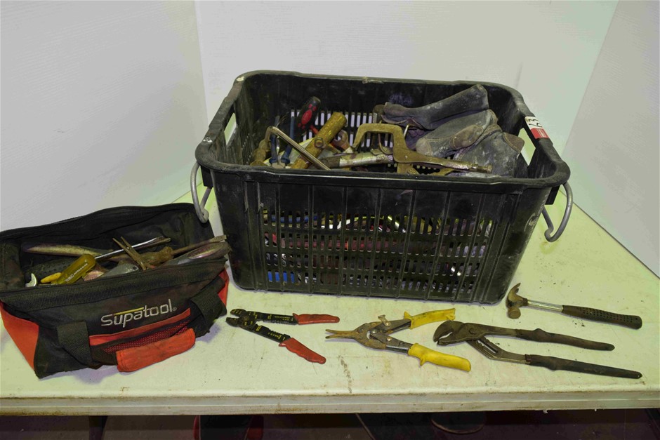 Firing Eagle Shiraz 2021 (12x 750mL) Limestone Coast