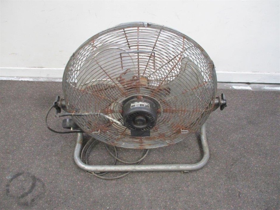 Crane Big Wheel Scooter