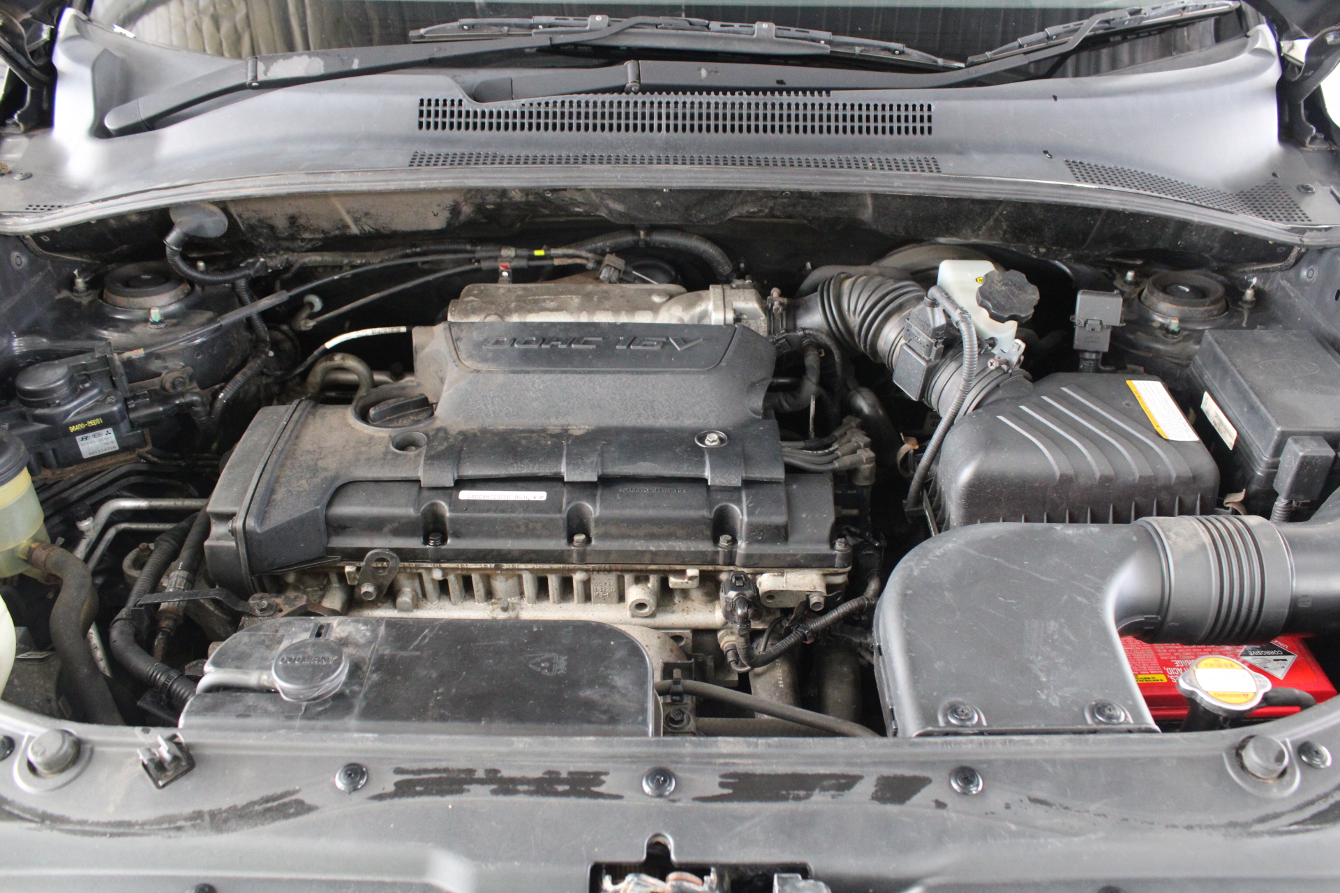 1981 Australia Six Coin Proof Set Queen Elizabeth