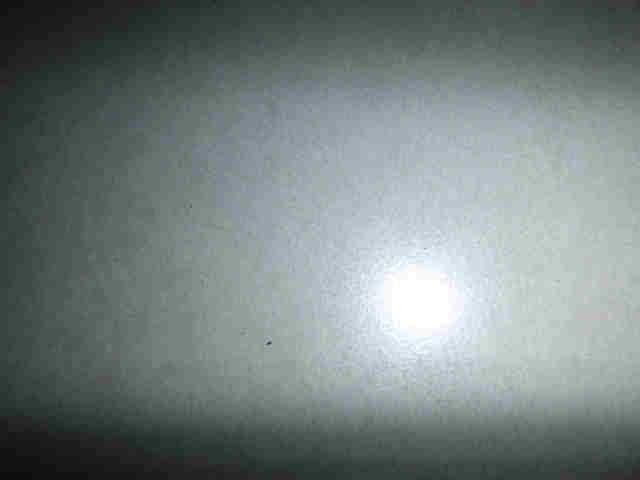 Rhodium Plated 7.5" Belcher Bracelet Featuring a Small Vegas Locket