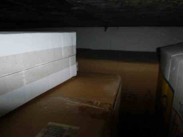 5mm Simulated White Pearl Earrings