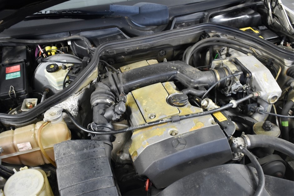 Microscope stereo binocular