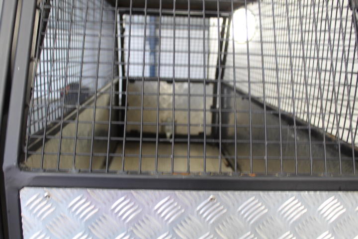 Upside Down Pinot Grigio (6x 750mL). Current Vintage Release.