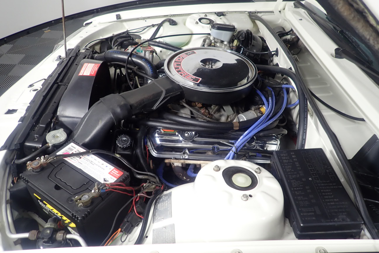 Sacred Hill Shiraz Cabernet (12x 750mL). NSW.