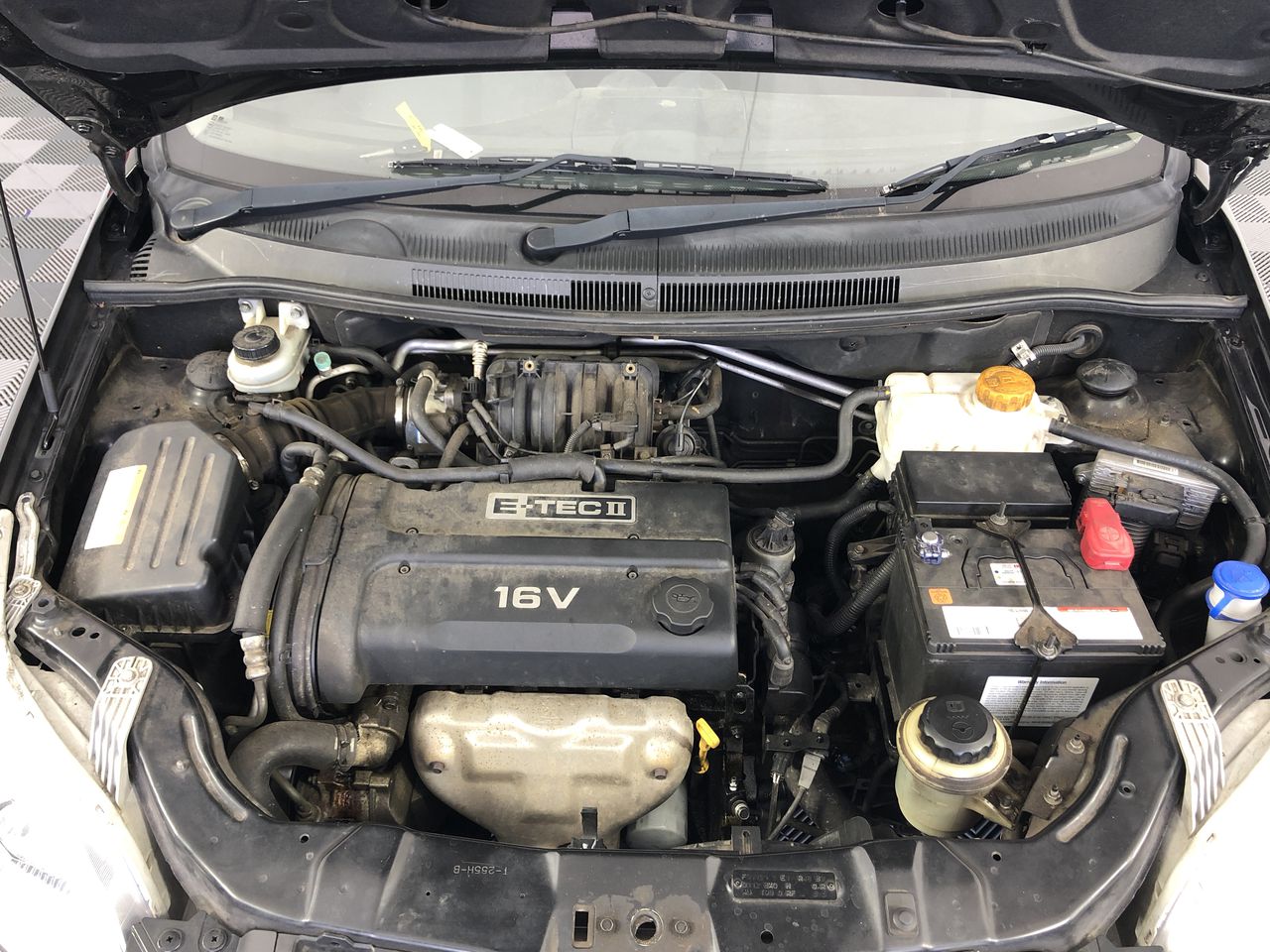 Stalking Horse Pinot Grigio 2025 (12x 750mL) Langhorne Creek