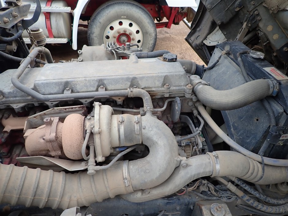 PEKKLE Kids' 3pc Rashguard Set, Size 6, Red Shark, Incl: Rashguard, Brief &