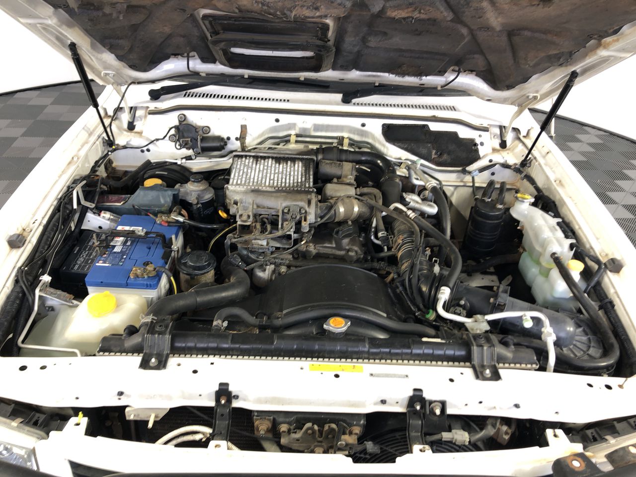 2 Monkeys Semillon Sauvignon Blanc 2025 (12x 750mL) SEA