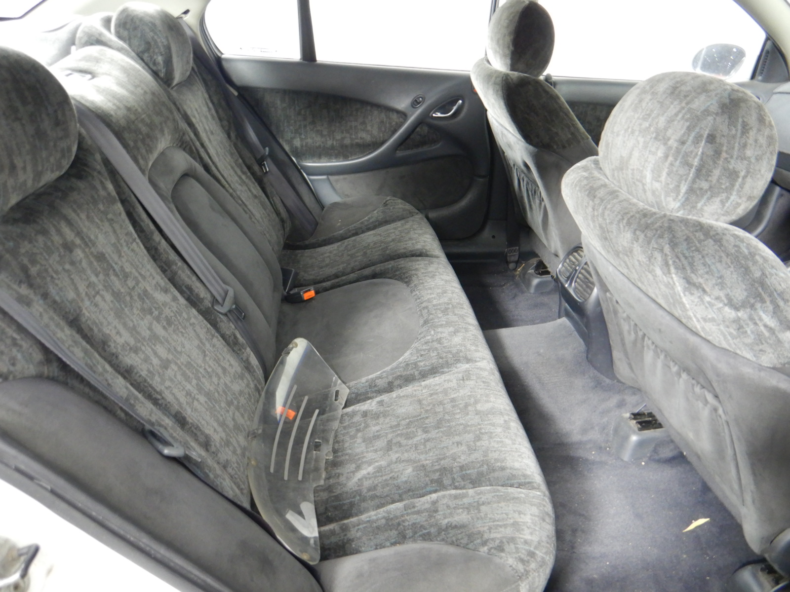 Stalking Horse Sauvignon Blanc 2024 (12x 750mL) Langhorne Creek, SA