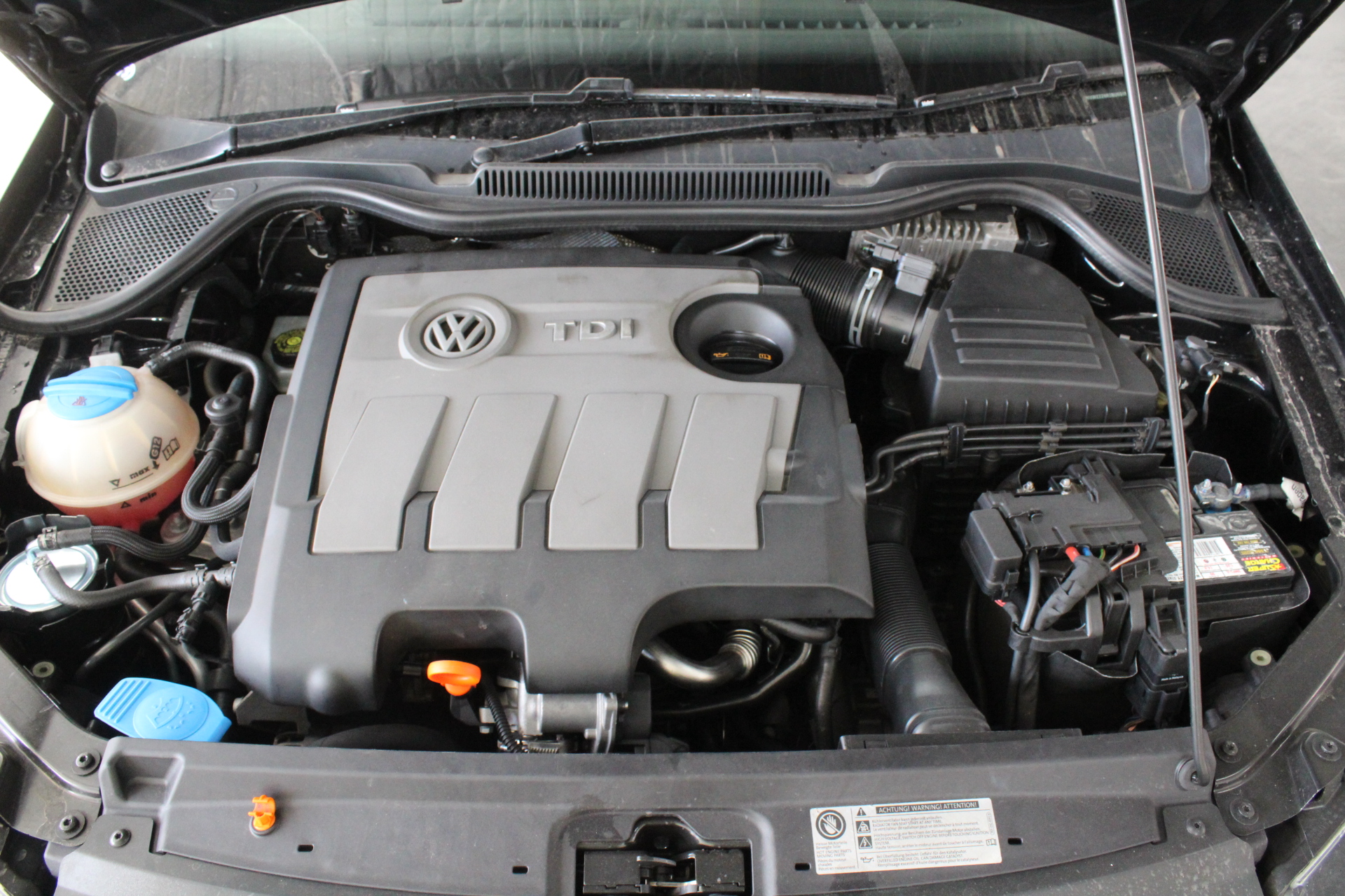 Elephant in the Room Cabernet Sauvignon (6x 750mL).