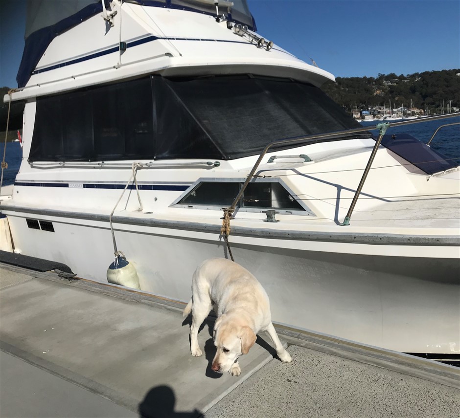 NED KELLY & GANG Set Of 4 x 1oz Ingots Finished in 999 24k Gold Ser 2