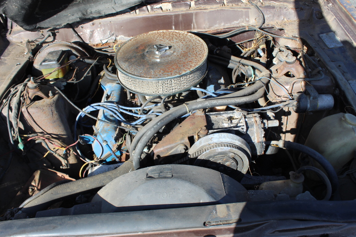 St Hubert's The Stag Rosé (6x 750mL). Current Vintage Release.