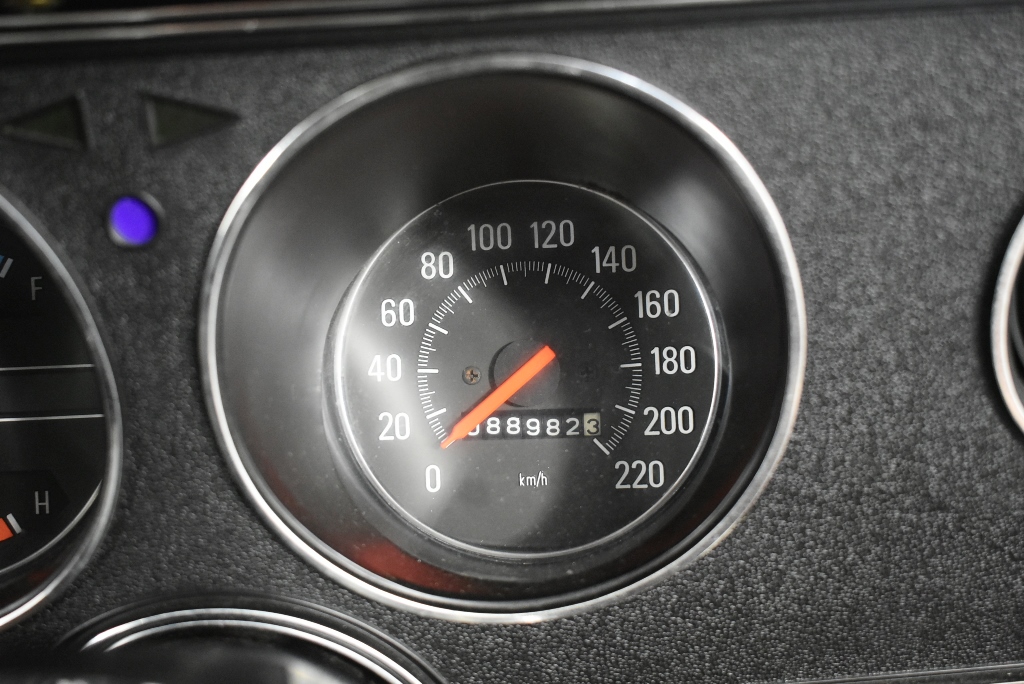 McWilliams Stolen Colt Shiraz 2021 (12x 750mL) NSW