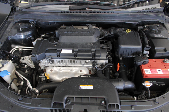 Elephant in the Room Shiraz (6x 750mL).