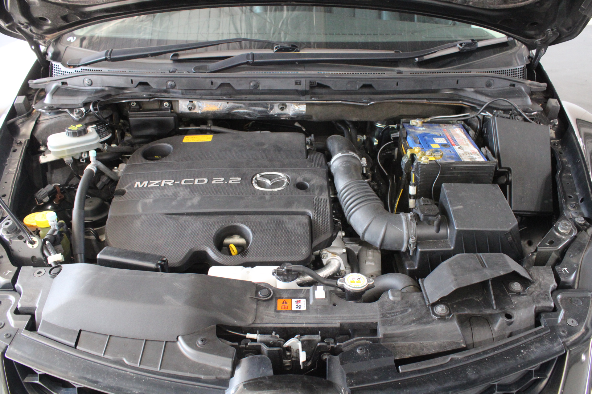 CHEECH & CHONG DUAL SIGNED 'LAST MOVIE'