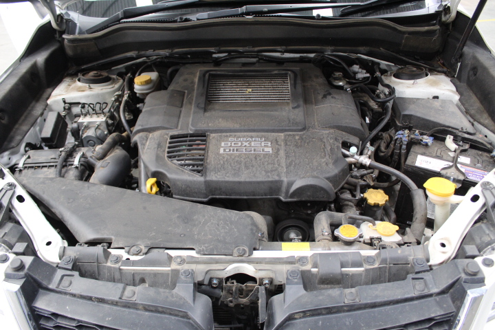 7pc USD 1 2 5 10 20 50 100 Dollar Bill Gold Foil Banknote